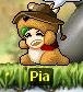 PIA.JPG