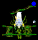 File:Marr's Forest.png