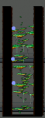 File:Hidden Street Tree Dungeon, Monkey Forest II.png
