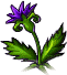 File:Witchgrass.png