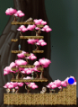 Thumbnail for version as of 10:42, 23 November 2009